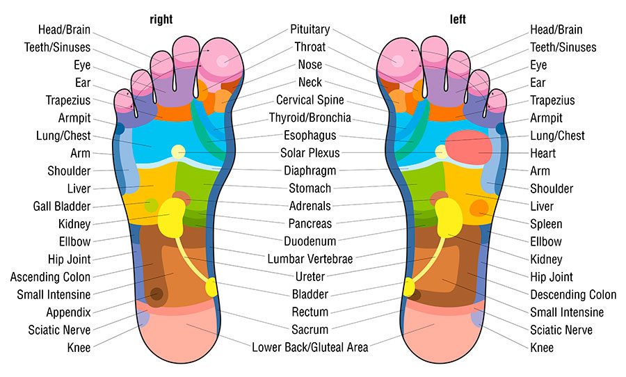 Foot Chart Nerve Endings